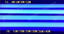 T5 6W BL insect killer lamp