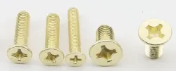 Golden Flat Head Screws M3*100