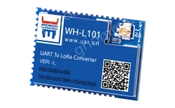 LoRa module