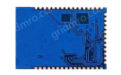 LoRa module