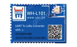 LoRa module